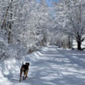 Meet your Posher, Katelyn